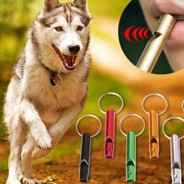 Pet Training Whistle Anti Bark Dogs