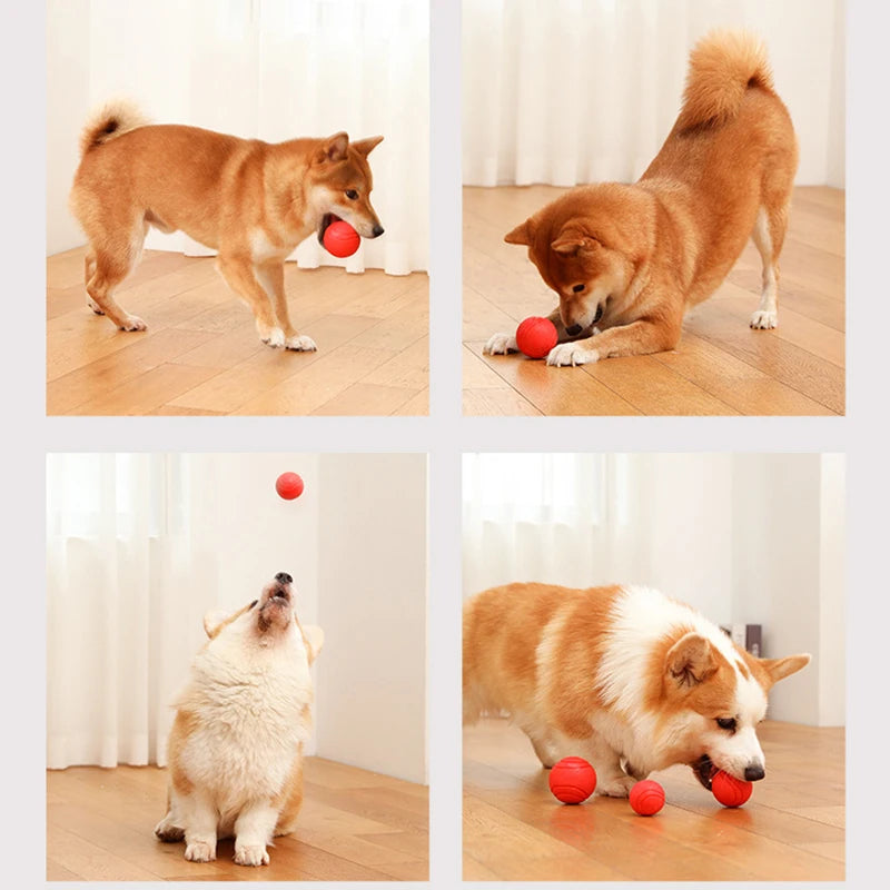 Dog Training Interactive Ball Pet Toy Molar Ball