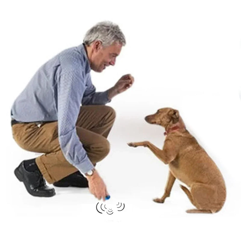 Versatile Puppy Training Tool