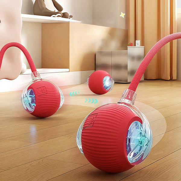 Smart Pet Electric Toy Cat Training Imitate Mouse