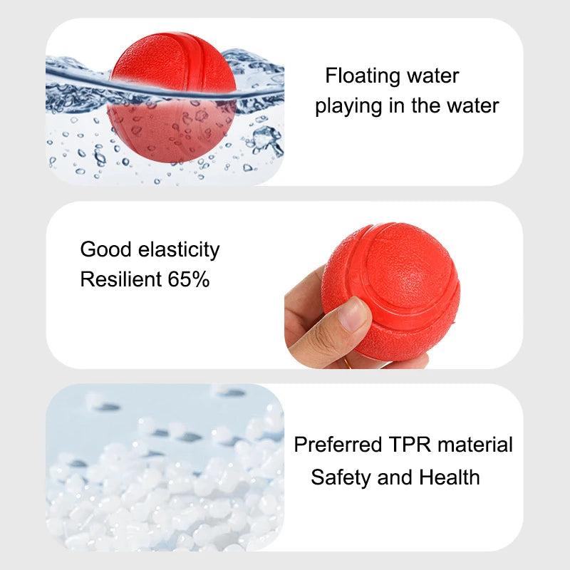 Dog Training Interactive Ball Pet Toy Molar Ball