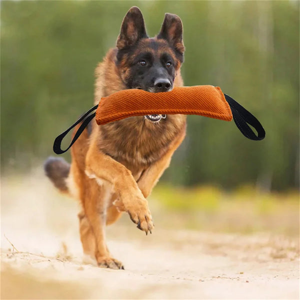 Durable Dog Bite Stick