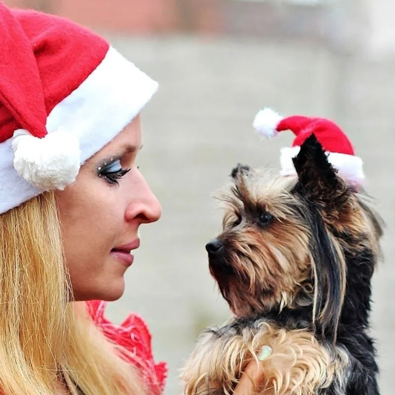 Christmas Pet Hat Santa Claus Hat for Cats
