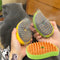 Cat Steam Brush Electric Spray Water Spray