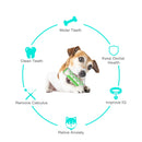 Dogs Tooth Cleaning Brush