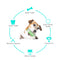 Dogs Tooth Cleaning Brush