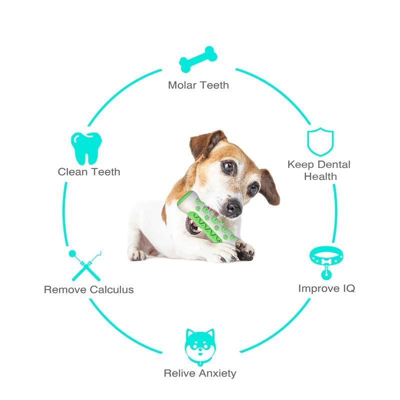 Dogs Tooth Cleaning Brush