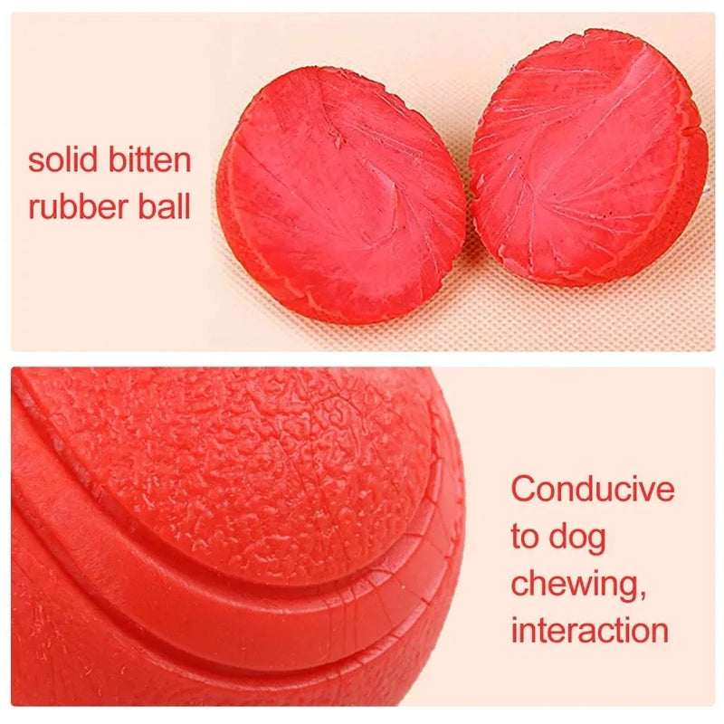 Dog Training Interactive Ball Pet Toy Molar Ball