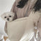 Dog Bag Pet Kitten Carrier Outdoor Travel Handbag