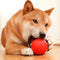 Dog Training Interactive Ball Pet Toy Molar Ball