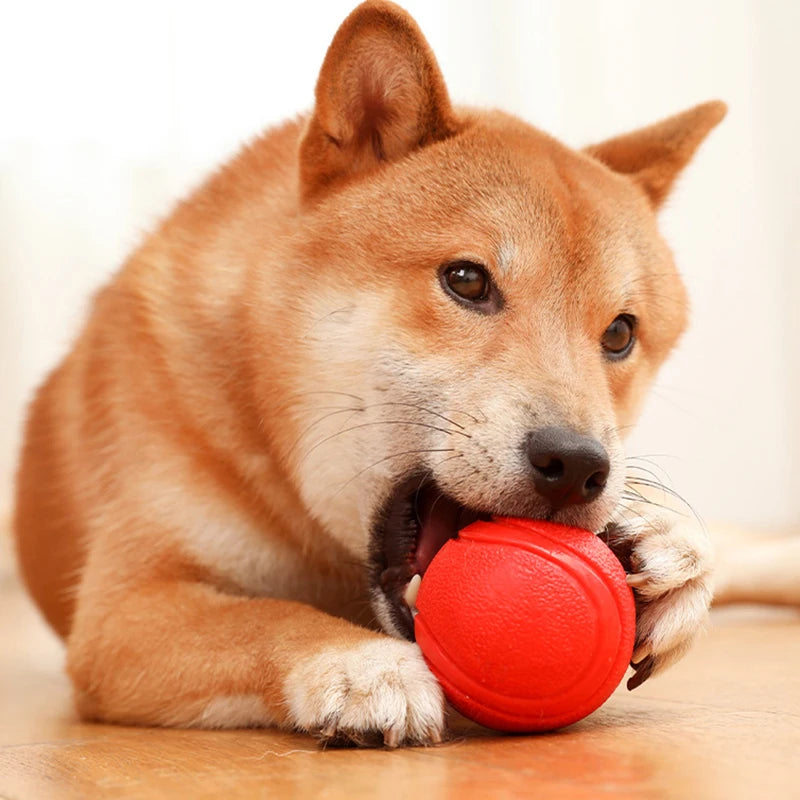 Dog Training Interactive Ball Pet Toy Molar Ball