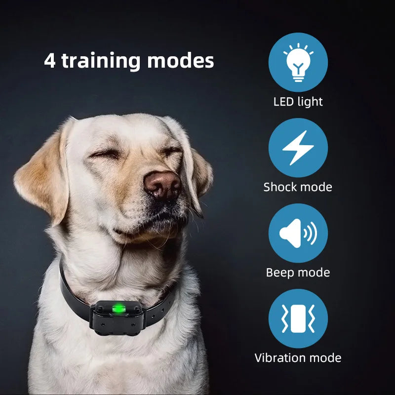 Waterproof Shock Dog Training Collar
