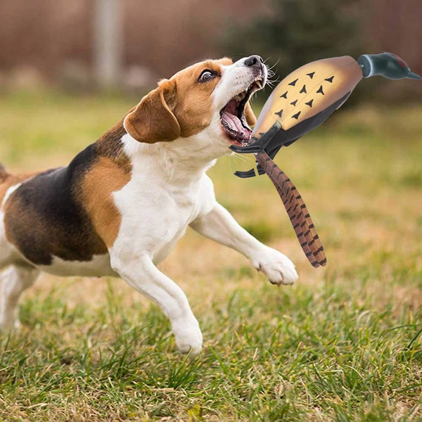 Pet Dead Fowl Fetch Toy For Training