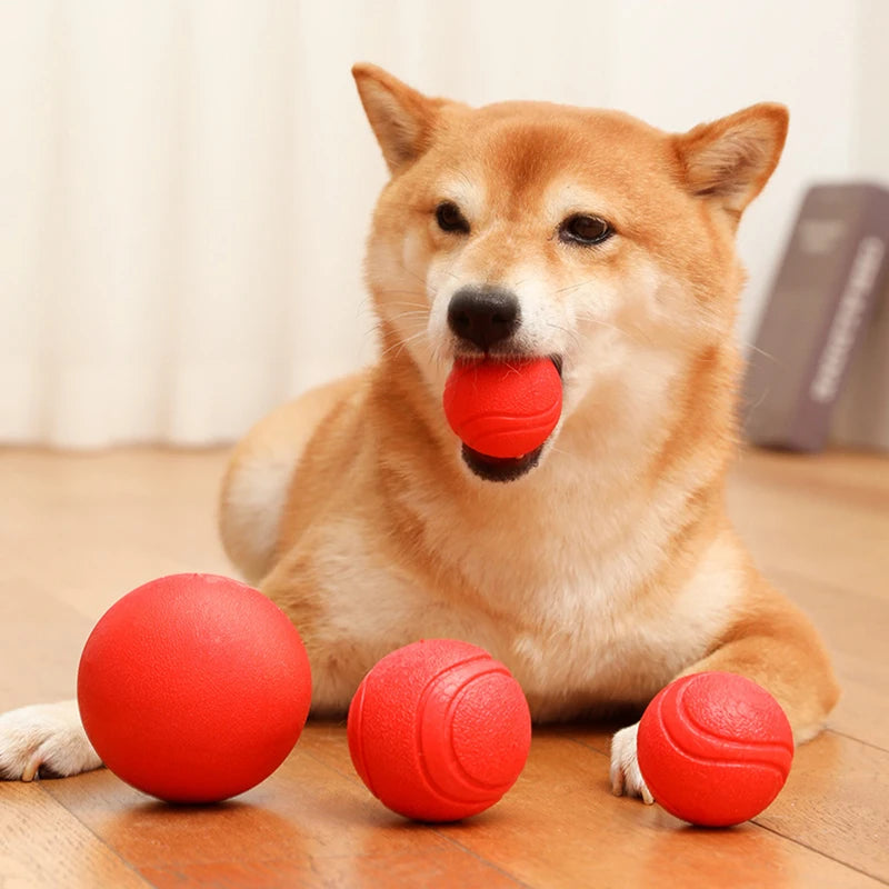 Dog Training Interactive Ball Pet Toy Molar Ball
