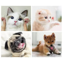 Cat Bed House Kennel Nest Round Pets Sleeping Cave