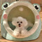 Cat Bed House Kennel Nest Round Pets Sleeping Cave