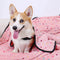 Soft Fluffy Pet Blanket Cute Dot Pattern Cozy Warm