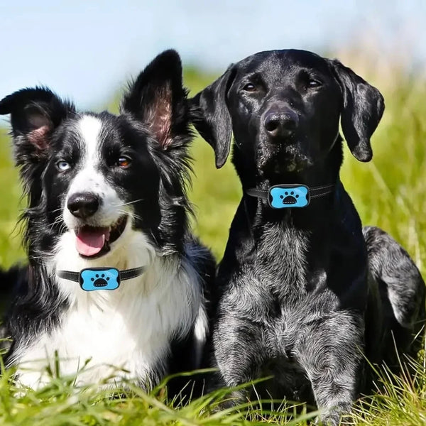 Pet Dog Anti Barking Device USB Rechargeable