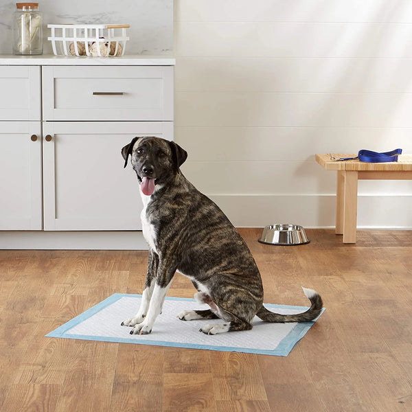 O-PETSI- Dog and Puppy Training Pads, Leak-Proof and Quick-Dry Design with Standard Absorbency.