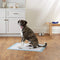 O-PETSI- Dog and Puppy Training Pads, Leak-Proof and Quick-Dry Design with Standard Absorbency.