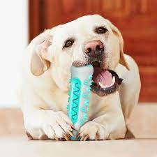Dogs Tooth Cleaning Brush
