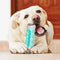 Dogs Tooth Cleaning Brush